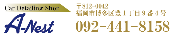 アネストデモページ2